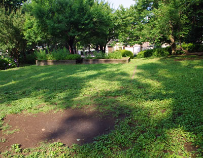 b0123486_16354229.jpg