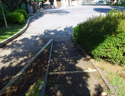 b0123486_16392950.jpg