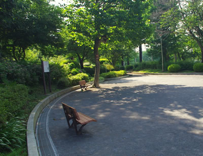 八王子の公園/六本杉公園(前編)_b0123486_1649913.jpg