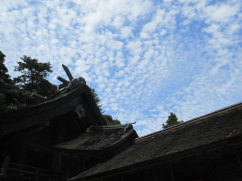 c0310987_16115655.jpg