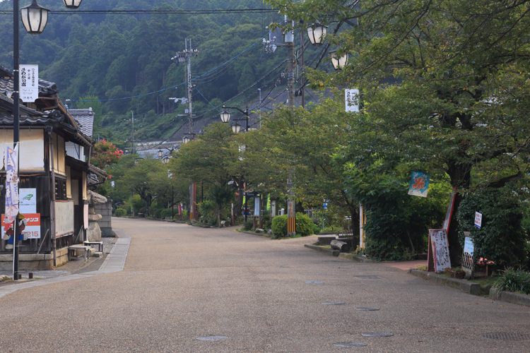 【番外編】醒ヶ井の梅花藻_e0051888_0355014.jpg