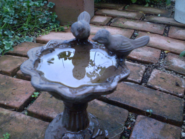 a0135990_21593315.jpg