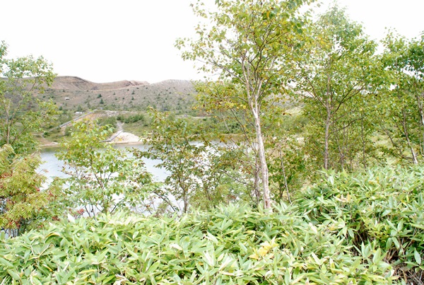 d0153294_1039790.jpg