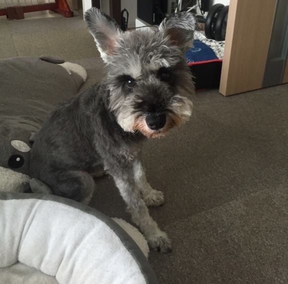 b0188998_23270987.jpeg
