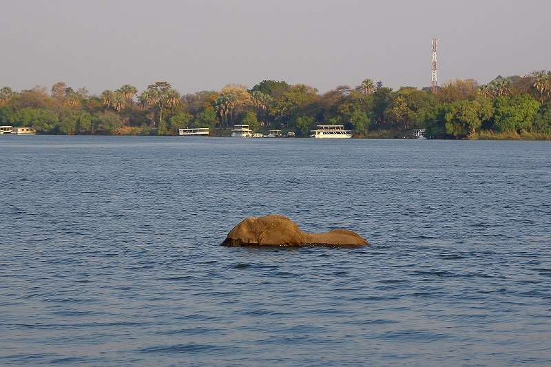 b0291402_11213398.jpg