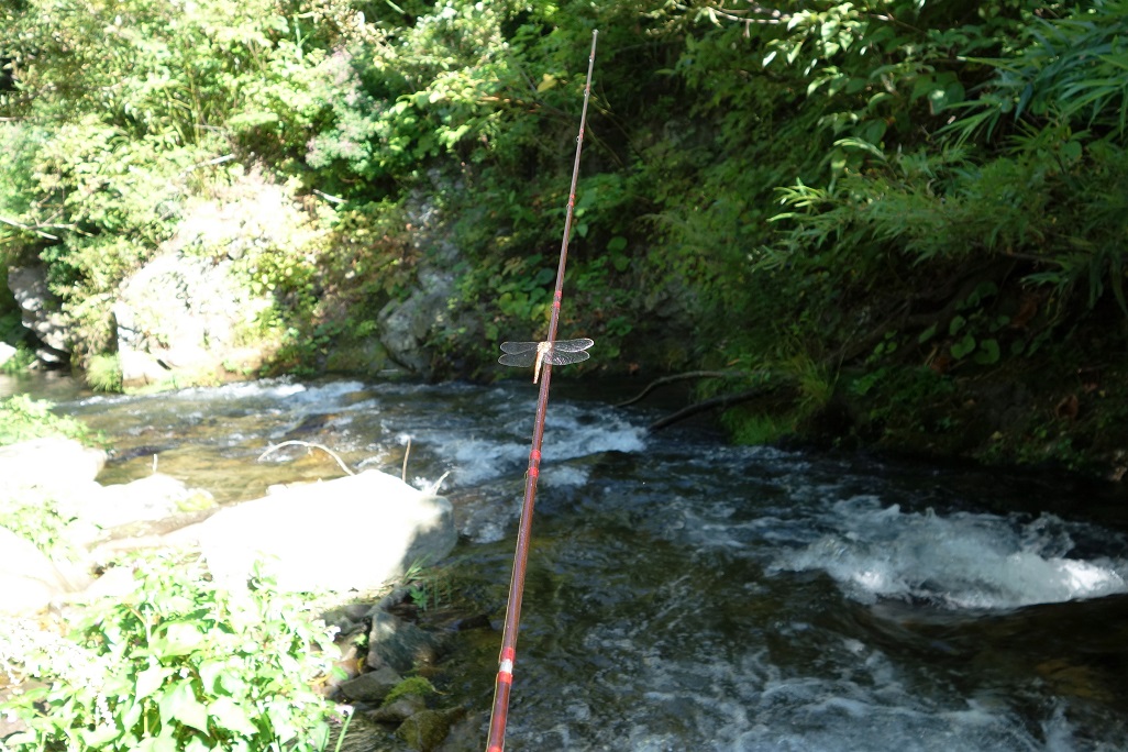 e0123808_1431892.jpg