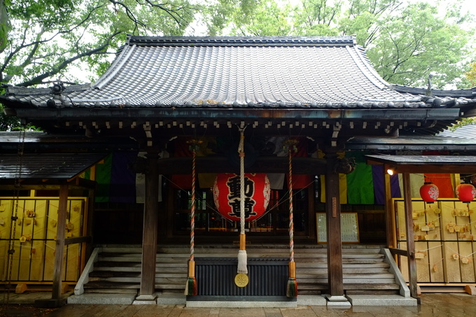 雨の東京散歩 九品仏〜二子玉川_e0000910_10254.jpg