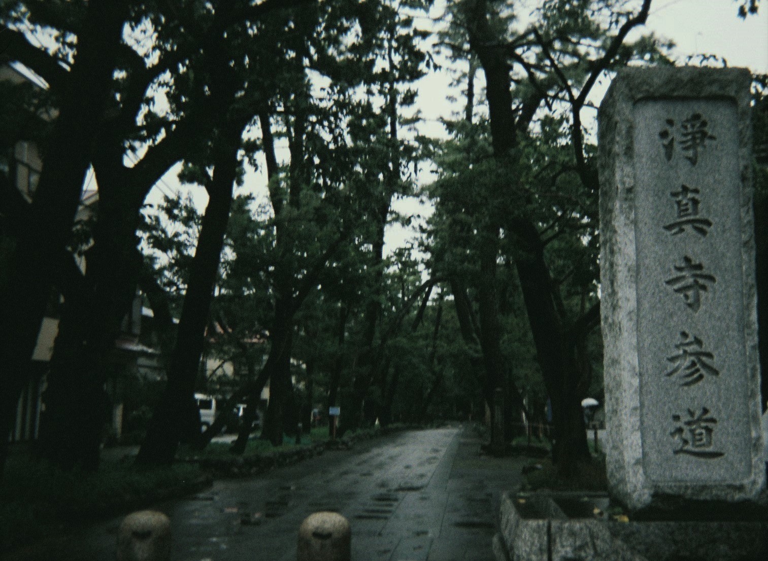 雨の東京散歩 九品仏〜二子玉川_e0000910_10593033.jpg