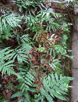 a0164011_21512420.jpg