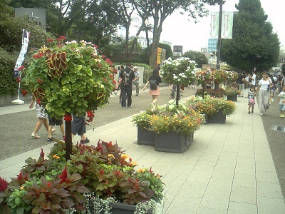 a0116217_20312667.jpg
