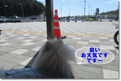 b0167519_1825763.gif