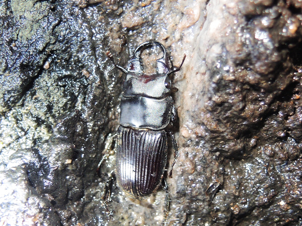 c0346119_23394540.jpg