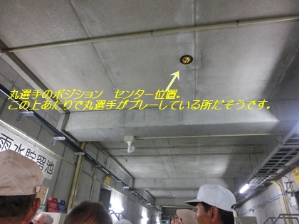 a0105023_1639353.jpg
