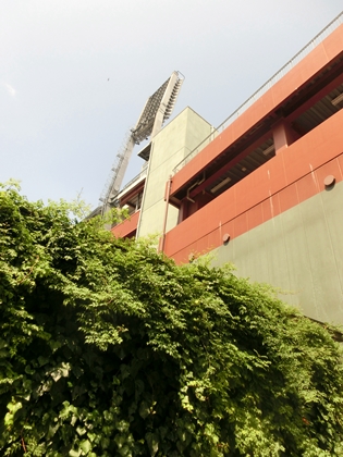 a0105023_1783123.jpg
