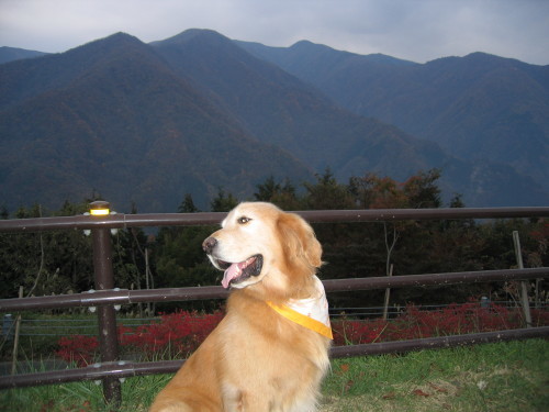 e0350927_10214314.jpg