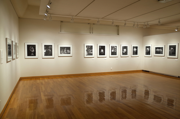 エリック・ペリス写真展のお知らせ_b0187229_202174.jpg