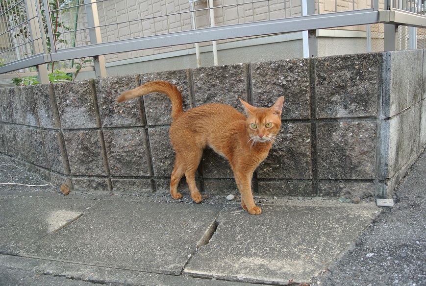a0099131_13245657.jpg