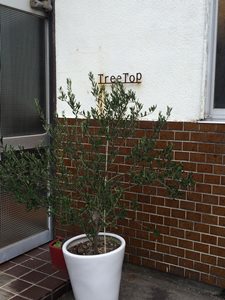 c0227932_1202862.jpg