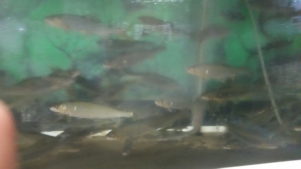 c0266737_07060352.jpg