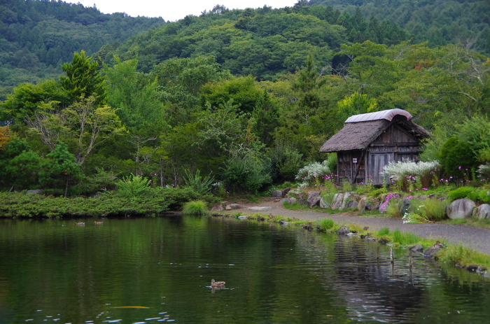 忍野八海にも行きました_e0262946_22040811.jpg