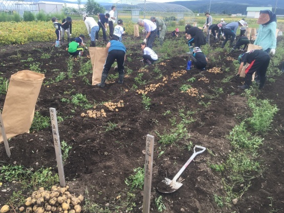 小学生の芋ほり体験_a0356060_10264653.jpg