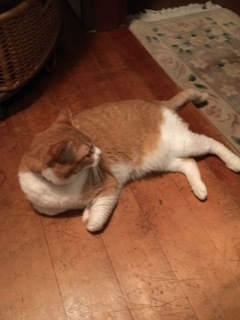 f0363168_00162358.jpeg