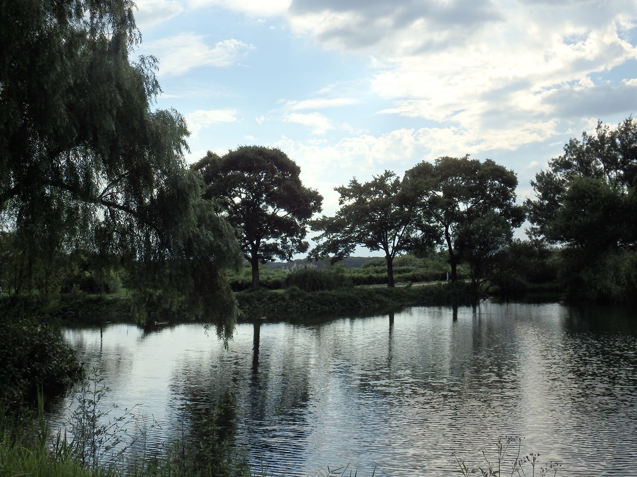 d0054276_20241314.jpg