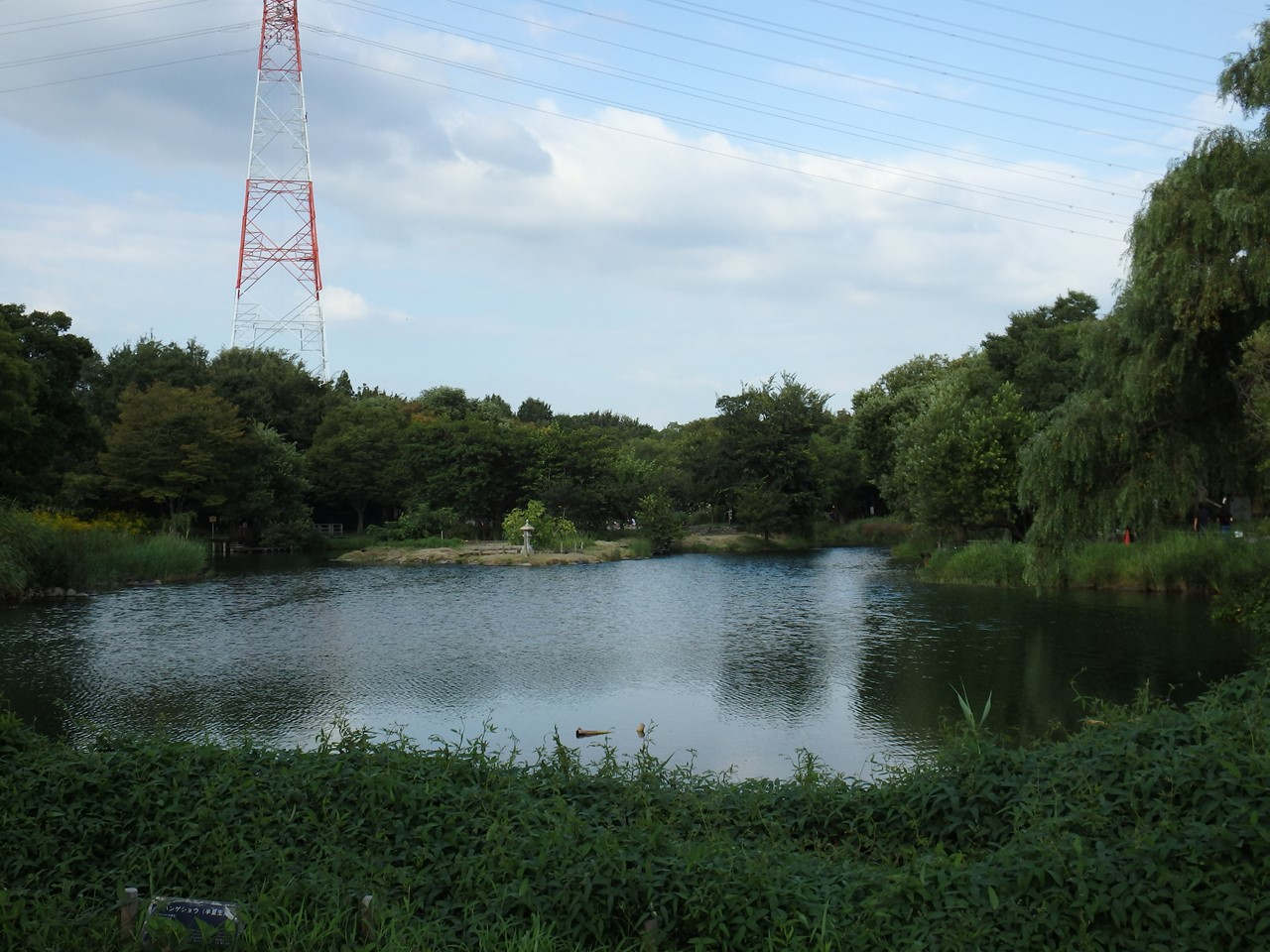 d0054276_20251975.jpg
