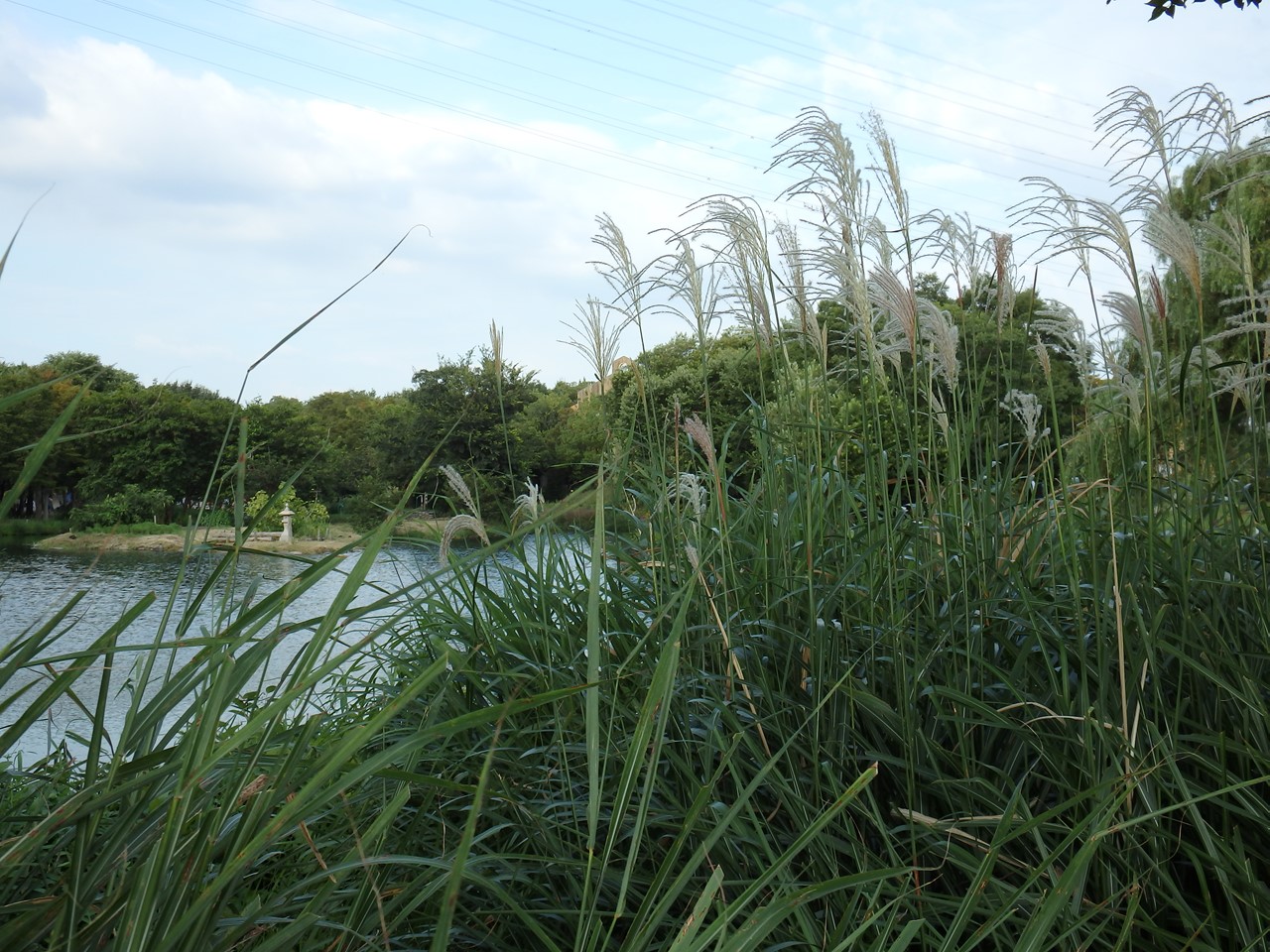 d0054276_202602.jpg