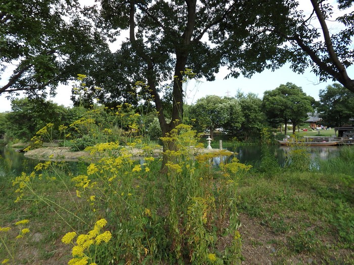 d0054276_20283392.jpg