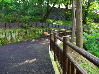 b0123486_834112.jpg