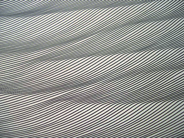 d0085887_22164448.jpg