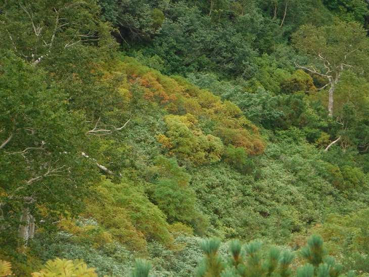 d0198793_22455100.jpg