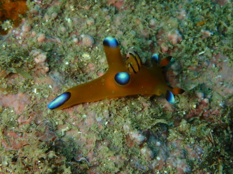 e0115199_21142792.jpg