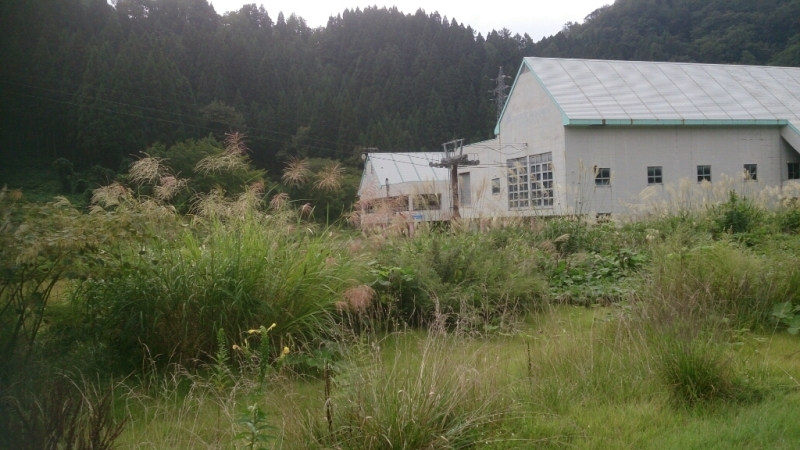 f0337700_17264110.jpg