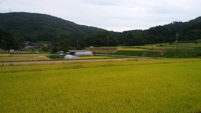 b0069604_21533361.jpg