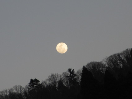 c0212604_21315740.jpg