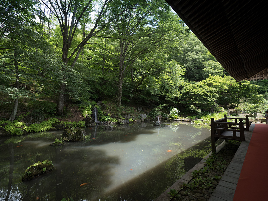 ご朱印　吉祥寺_a0320705_06331448.jpg