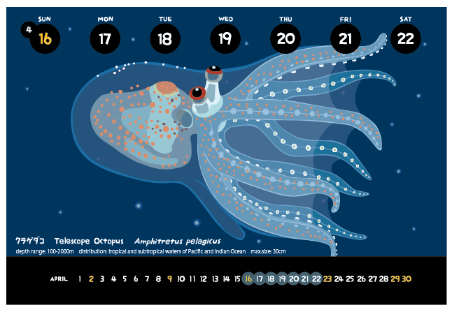 深海生物カレンダー　サンプル3_f0292806_10313701.jpg