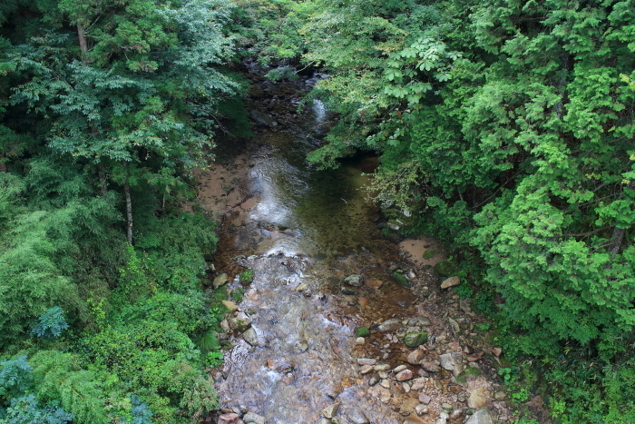 e0174008_17513922.jpg