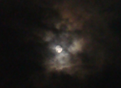 a0019212_20344516.jpg