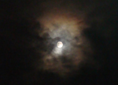 a0019212_20345655.jpg
