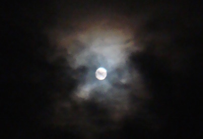 a0019212_2035683.jpg