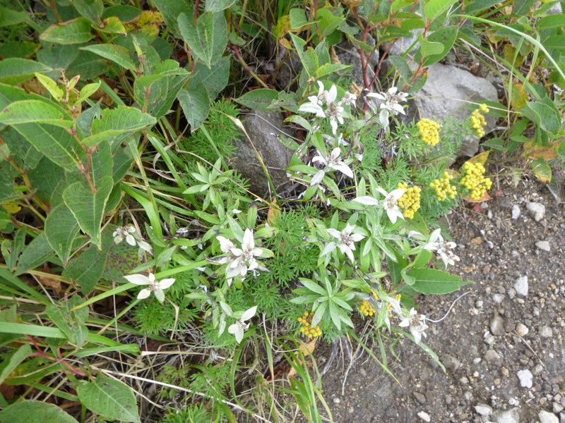 d0170615_19414056.jpg