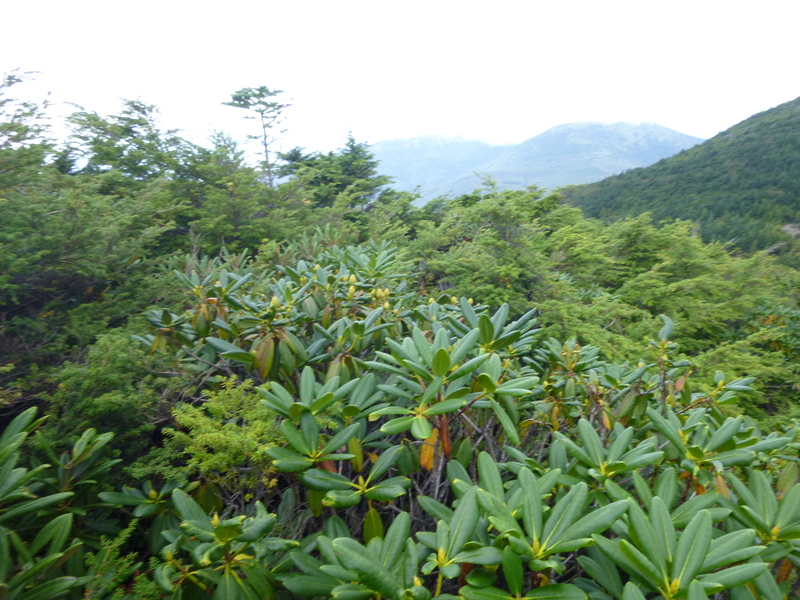 d0170615_1942753.jpg