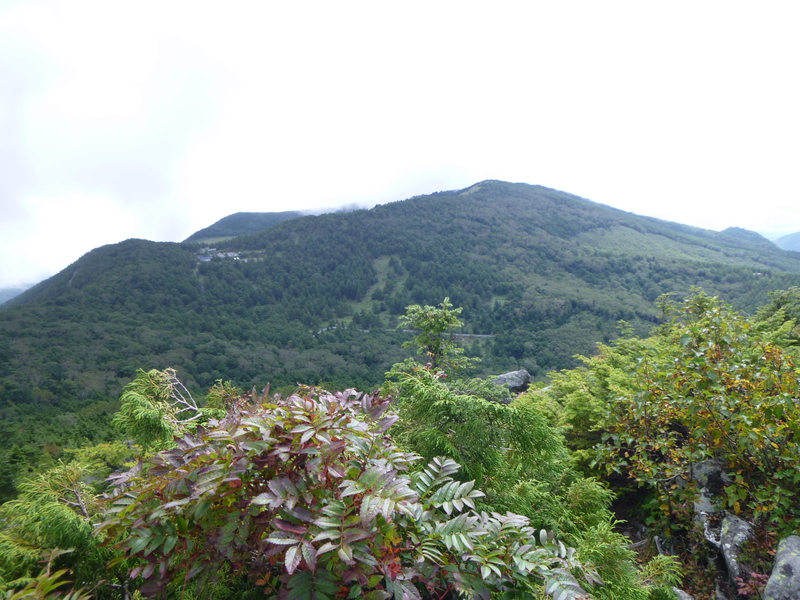 d0170615_19433276.jpg