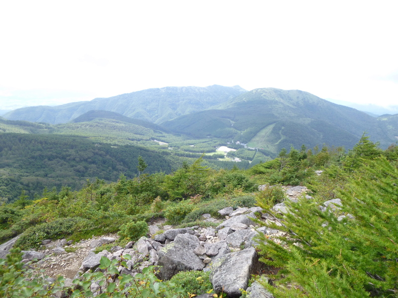 d0170615_19442567.jpg