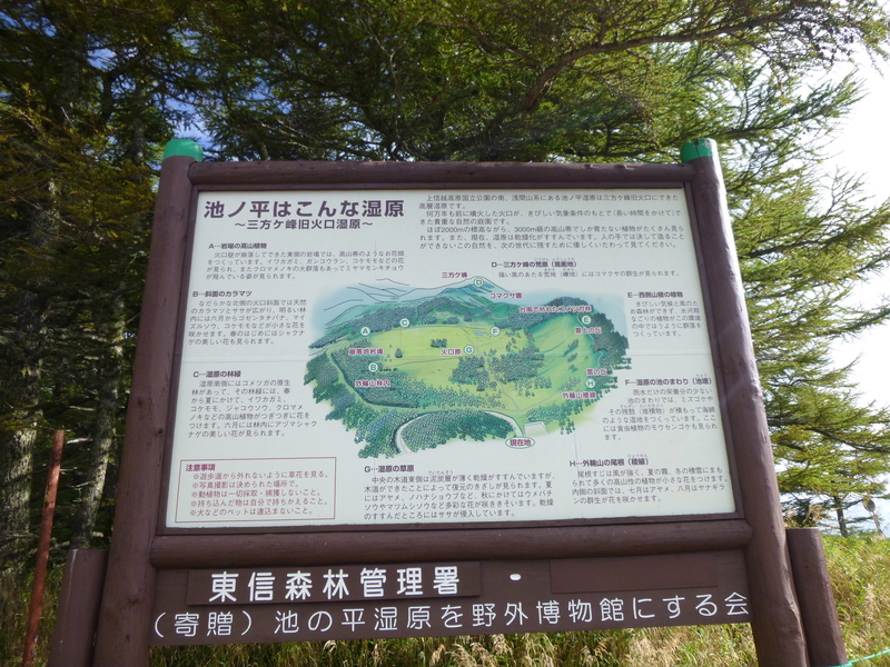 d0170615_19454664.jpg