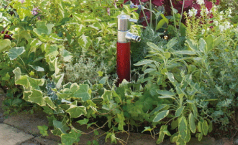 d0210324_14385091.gif