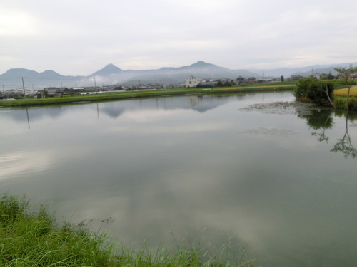 a0243325_8163723.jpg